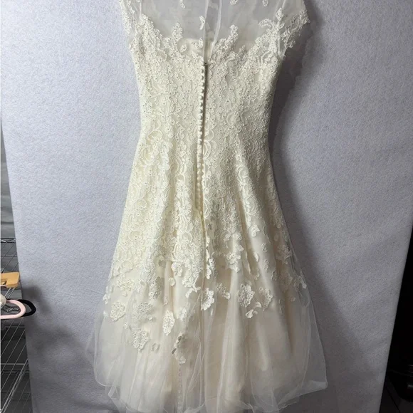 Ivory Lace A-Line Dress with Sheer Cap Sleeves - Picture 4 of 6